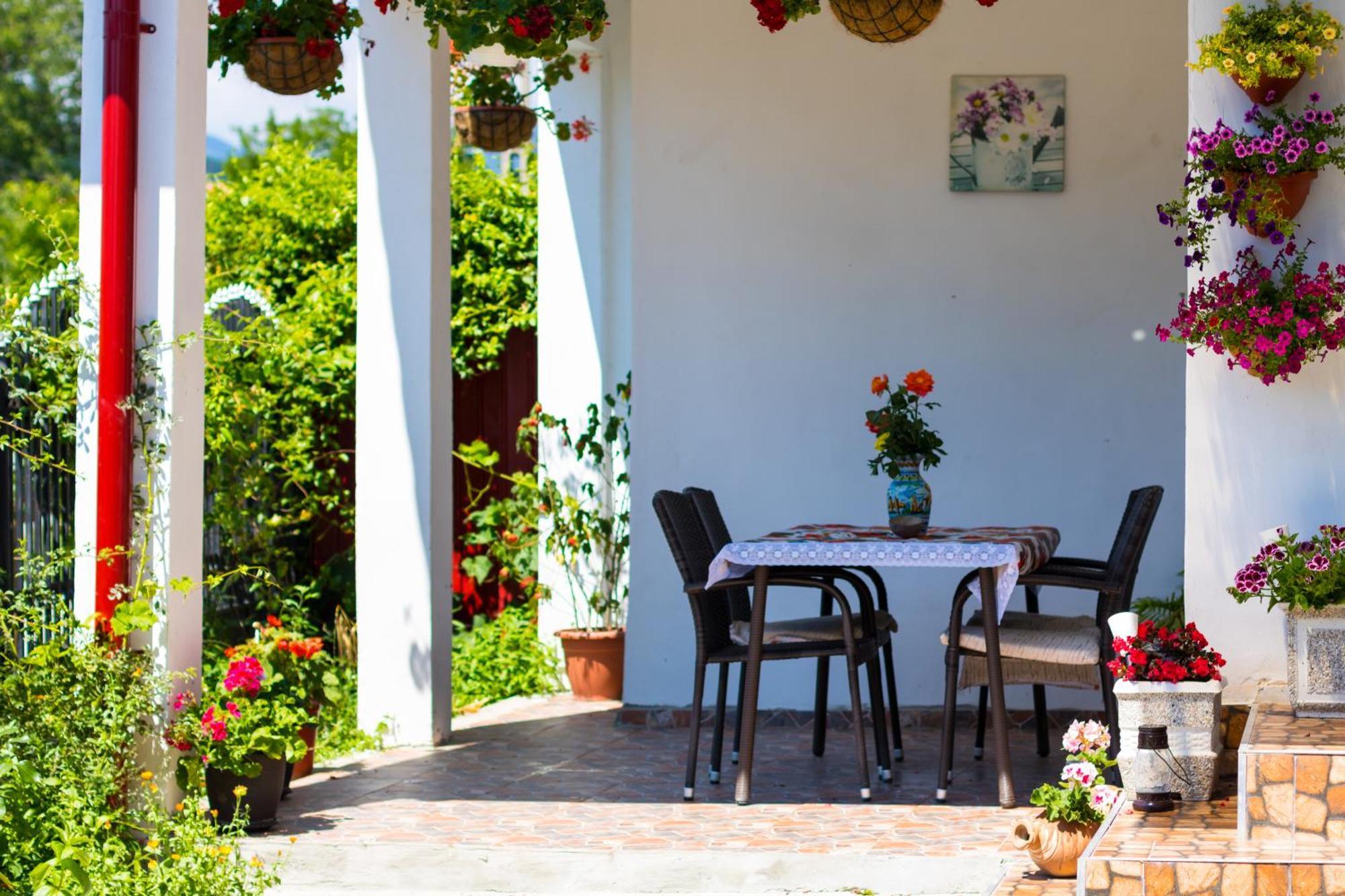 Casa De Vacanta Marya บายาเดเฟียร์ ภายนอก รูปภาพ