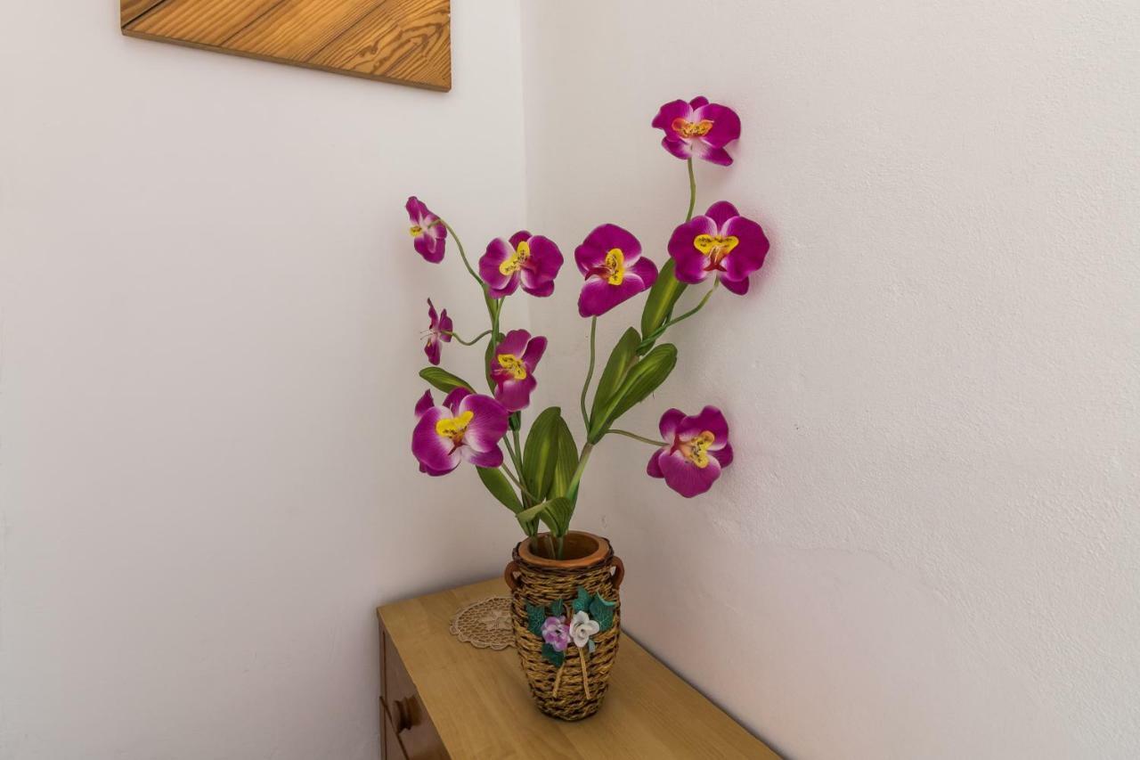 Casa De Vacanta Marya บายาเดเฟียร์ ภายนอก รูปภาพ